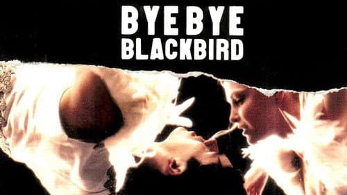 Bye Bye Blackbird still