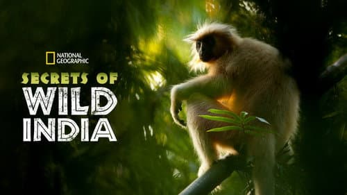 Secrets of Wild India still