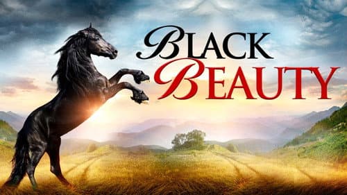 Black Beauty still