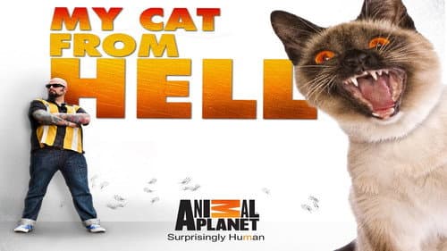 My Cat from Hell still