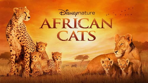 African Cats still