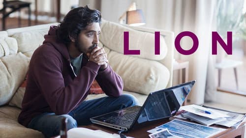 Lion still