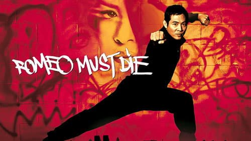 Romeo Must Die still