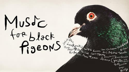 Music for Black Pigeons still