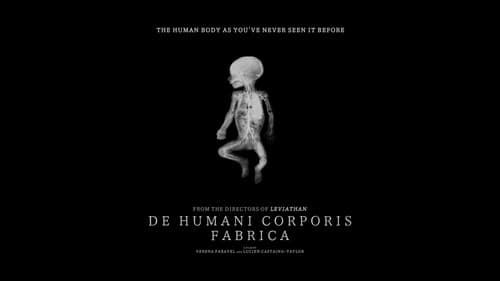 De Humani Corporis Fabrica still