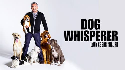 Dog Whisperer still