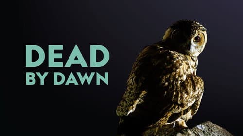 Dead By Dawn still