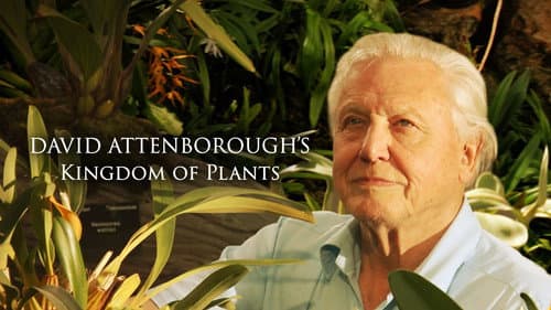 Kingdom of Plants still