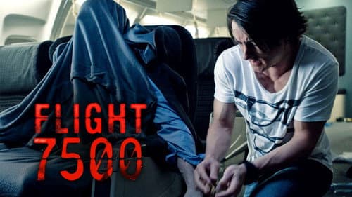 Flight 7500 still