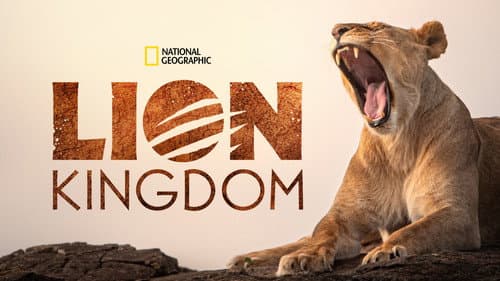 Lion Kingdom still