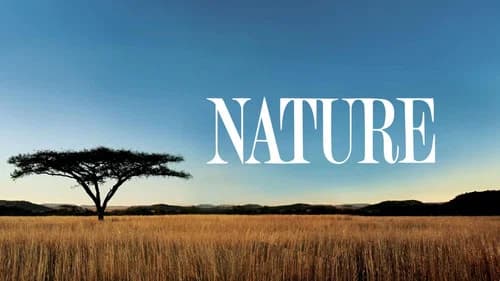 Nature still