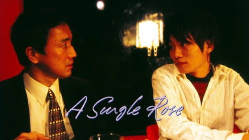 A Single Rose still