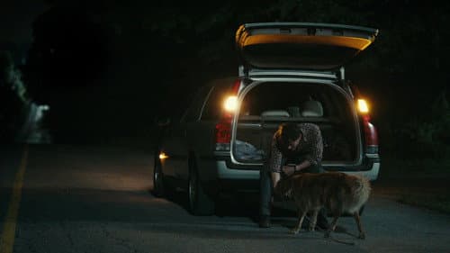 Hannibal still