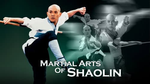 Martial Arts of Shaolin still