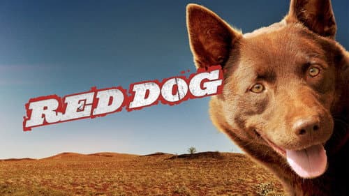 Red Dog still