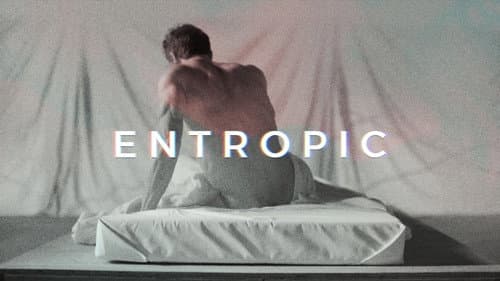 Entropic still