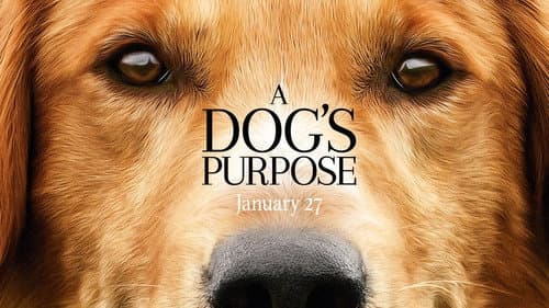 A Dog's Purpose still