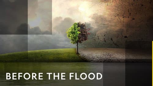 Before the Flood still