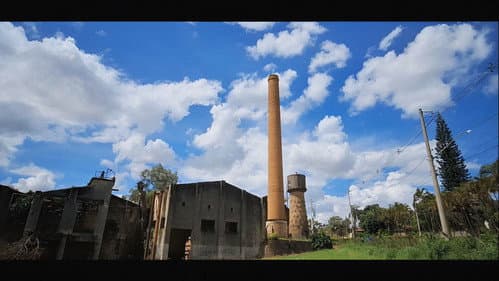 Pimenta Landscape still