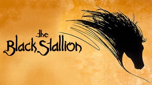 The Black Stallion still