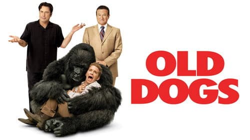 Old Dogs still