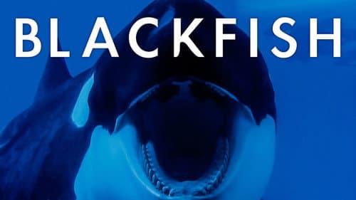 Blackfish still