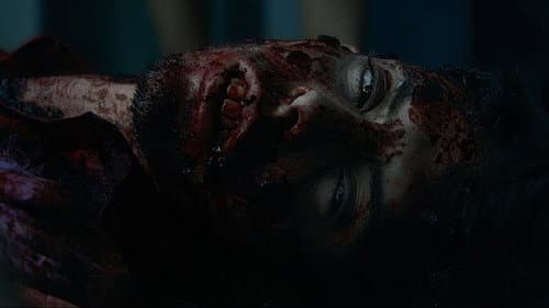 The Night of the Virgin still