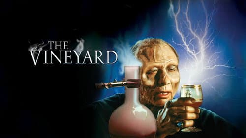 The Vineyard still