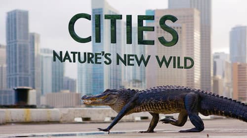 Cities: Nature's New Wild still