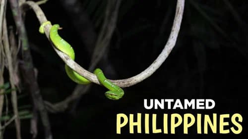Untamed Philippines still