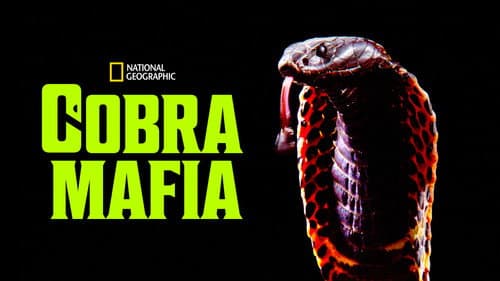 Cobra Mafia still
