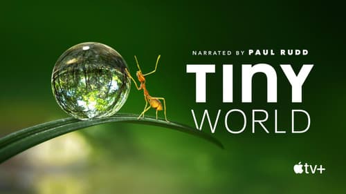 Tiny World still