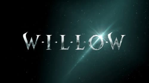Willow still