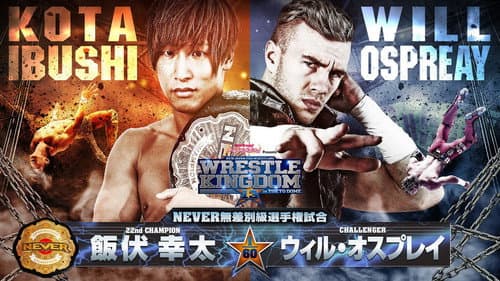 NJPW Wrestle Kingdom 13 still