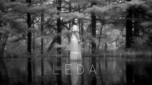 Leda still