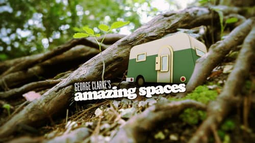 George Clarke's Amazing Spaces still