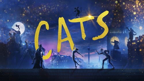 Cats still