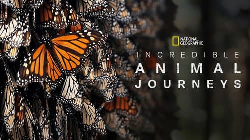 Incredible Animal Journeys still
