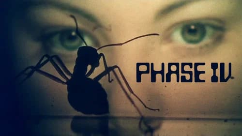 Phase IV still