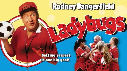 Ladybugs still