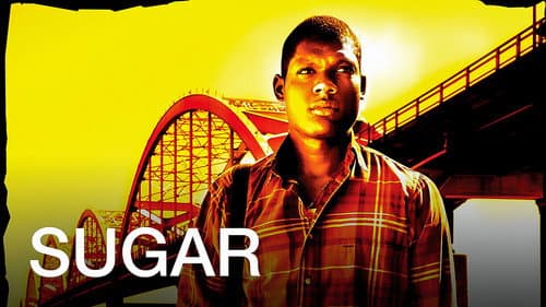 Sugar still