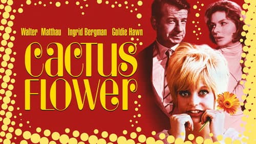 Cactus Flower still