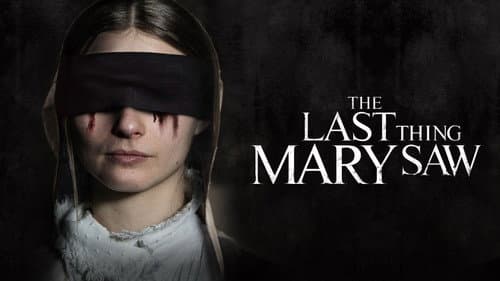 The Last Thing Mary Saw still