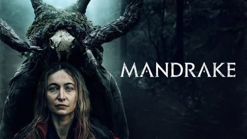 Mandrake still