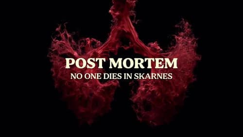 Post Mortem: No One Dies in Skarnes still