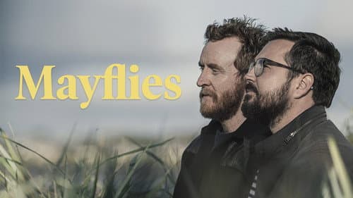 Mayflies still