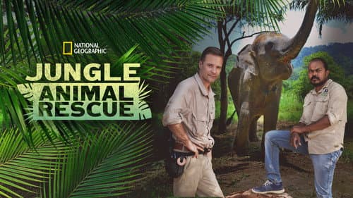 Jungle Animal Rescue still