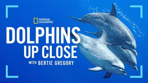 Dolphins Up Close with Bertie Gregory still