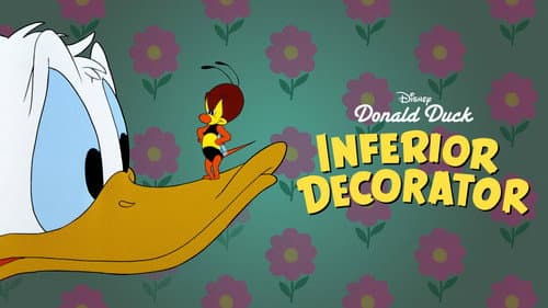 Inferior Decorator still