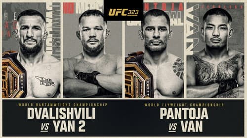 UFC 323: Dvalishvili vs. Yan 2 still
